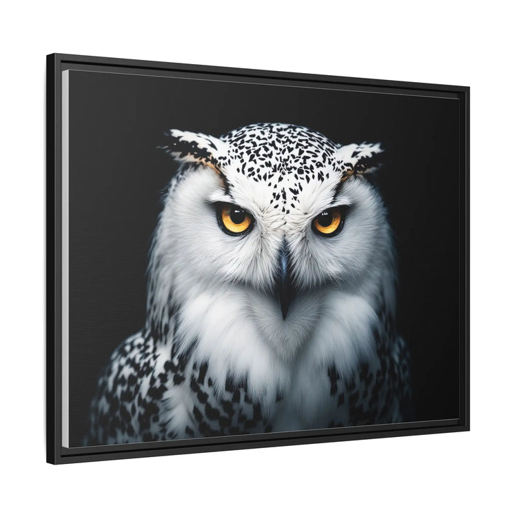 Framed owl portrait.