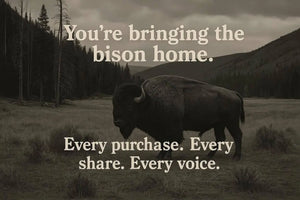 sepia-toned image of a lone bison standing in an open field, symbolizing bringing bison home—every purchase, every share, every voice