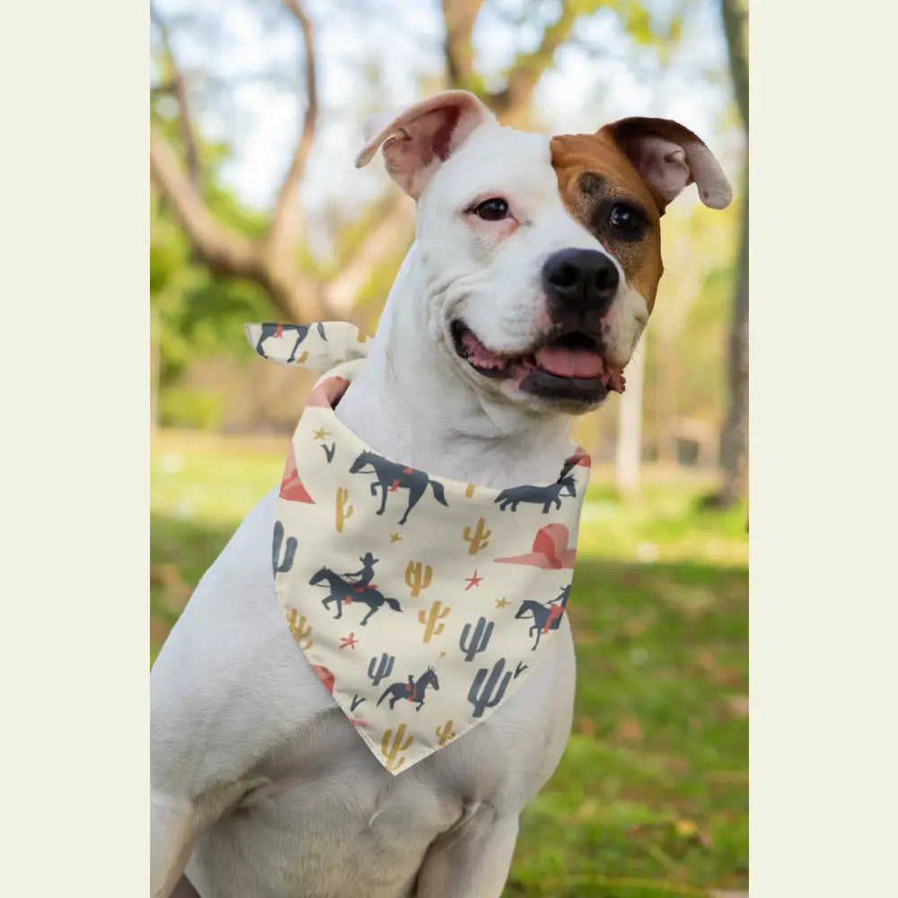 ’Lone Star Paws’ Double R Western’s Western Adventure Pet Bandana Pets