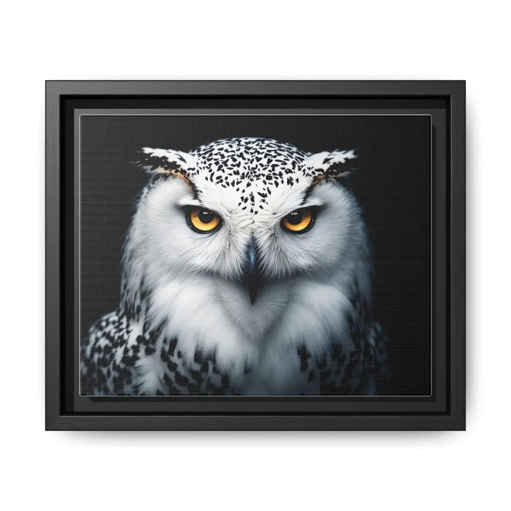Sacred Snow Owl Framed Canvas - Double R Western™ - 10″ x 8″ (Horizontal) / Black / 1.25’’ - Canvas