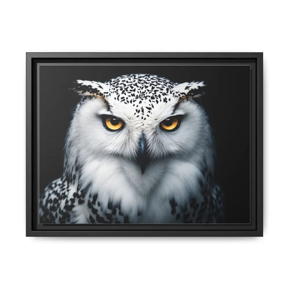 Sacred Snow Owl Framed Canvas - Double R Western™ - 16″ x 12″ (Horizontal) / Black / 1.25’’ - Canvas