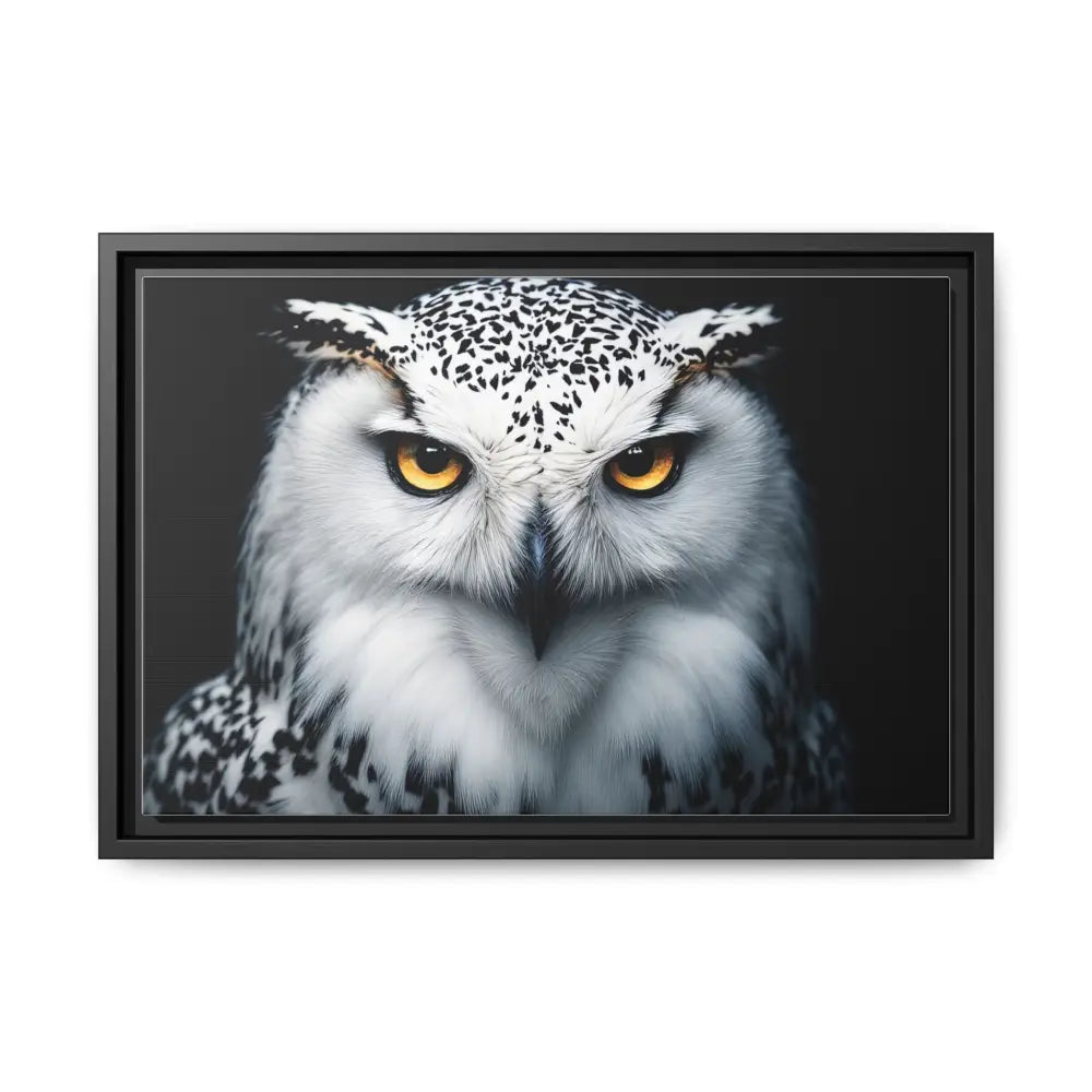 Sacred Snow Owl Framed Canvas - Double R Western™ - 18″ x 12″ (Horizontal) / Black / 1.25’’ - Canvas