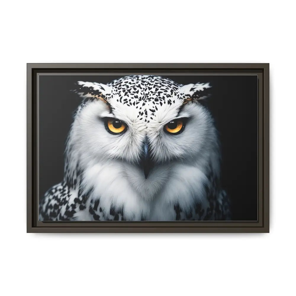 Sacred Snow Owl Framed Canvas - Double R Western™ - 18″ x 12″ (Horizontal) / Espresso / 1.25’’ - Canvas