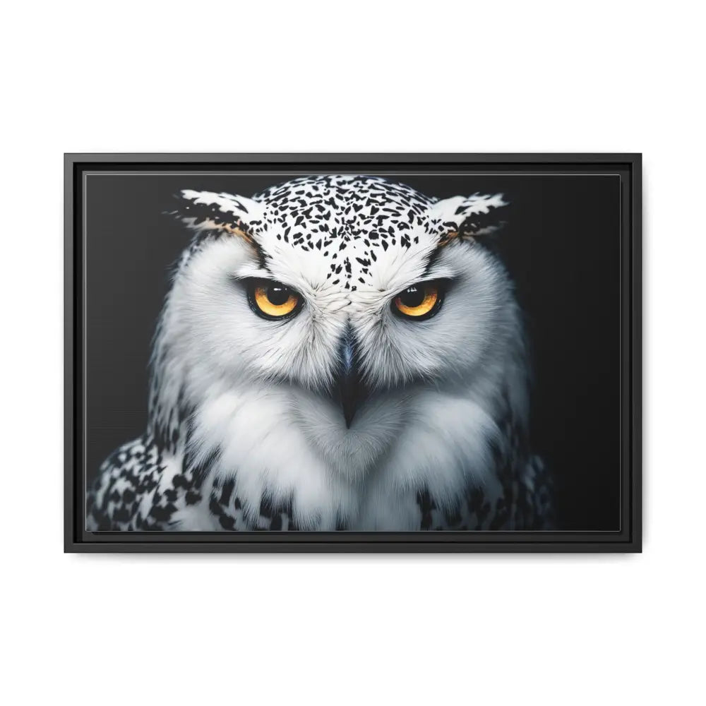 Sacred Snow Owl Framed Canvas - Double R Western™ - 24″ x 16″ (Horizontal) / Black / 1.25’’ - Canvas