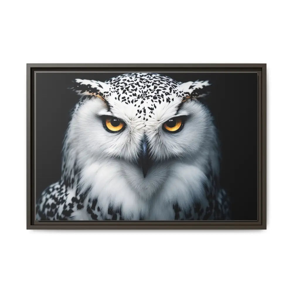 Sacred Snow Owl Framed Canvas - Double R Western™ - 24″ x 16″ (Horizontal) / Espresso / 1.25’’ - Canvas