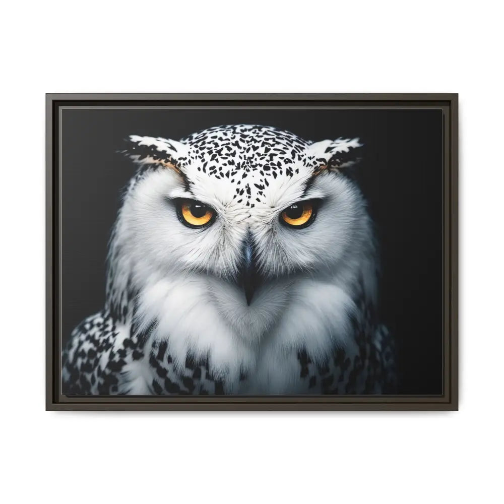 Sacred Snow Owl Framed Canvas - Double R Western™ - 24″ x 18″ (Horizontal) / Espresso / 1.25’’ - Canvas