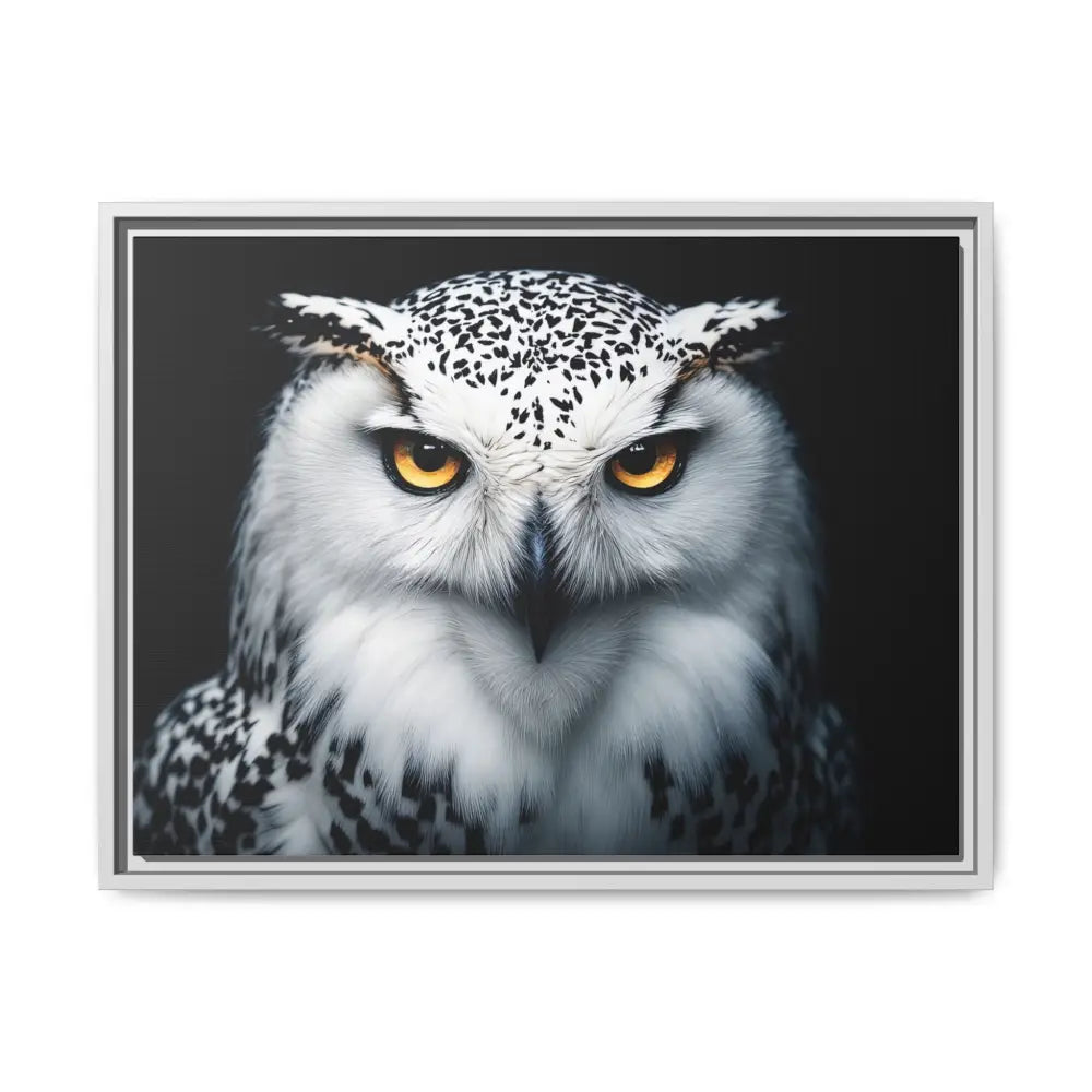 Sacred Snow Owl Framed Canvas - Double R Western™ - 24″ x 18″ (Horizontal) / White / 1.25’’ - Canvas