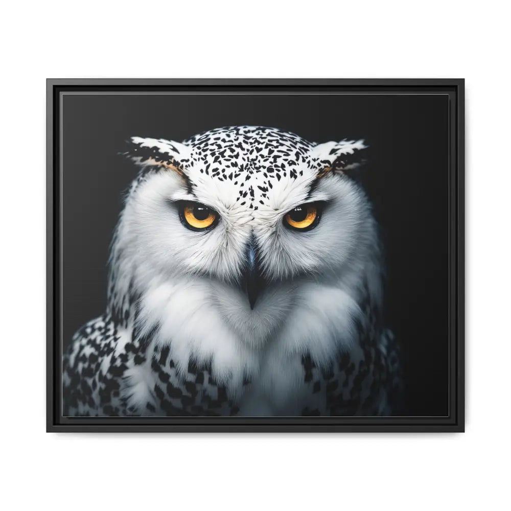 Sacred Snow Owl Framed Canvas - Double R Western™ - 24’’ x 20’’ (Horizontal) / Black / 1.25’’ - Canvas