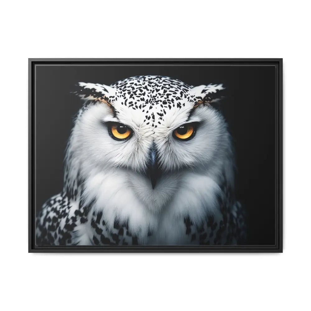 Sacred Snow Owl Framed Canvas - Double R Western™ - 32’’ x 24’’ (Horizontal) / Black / 1.25’’ - Canvas