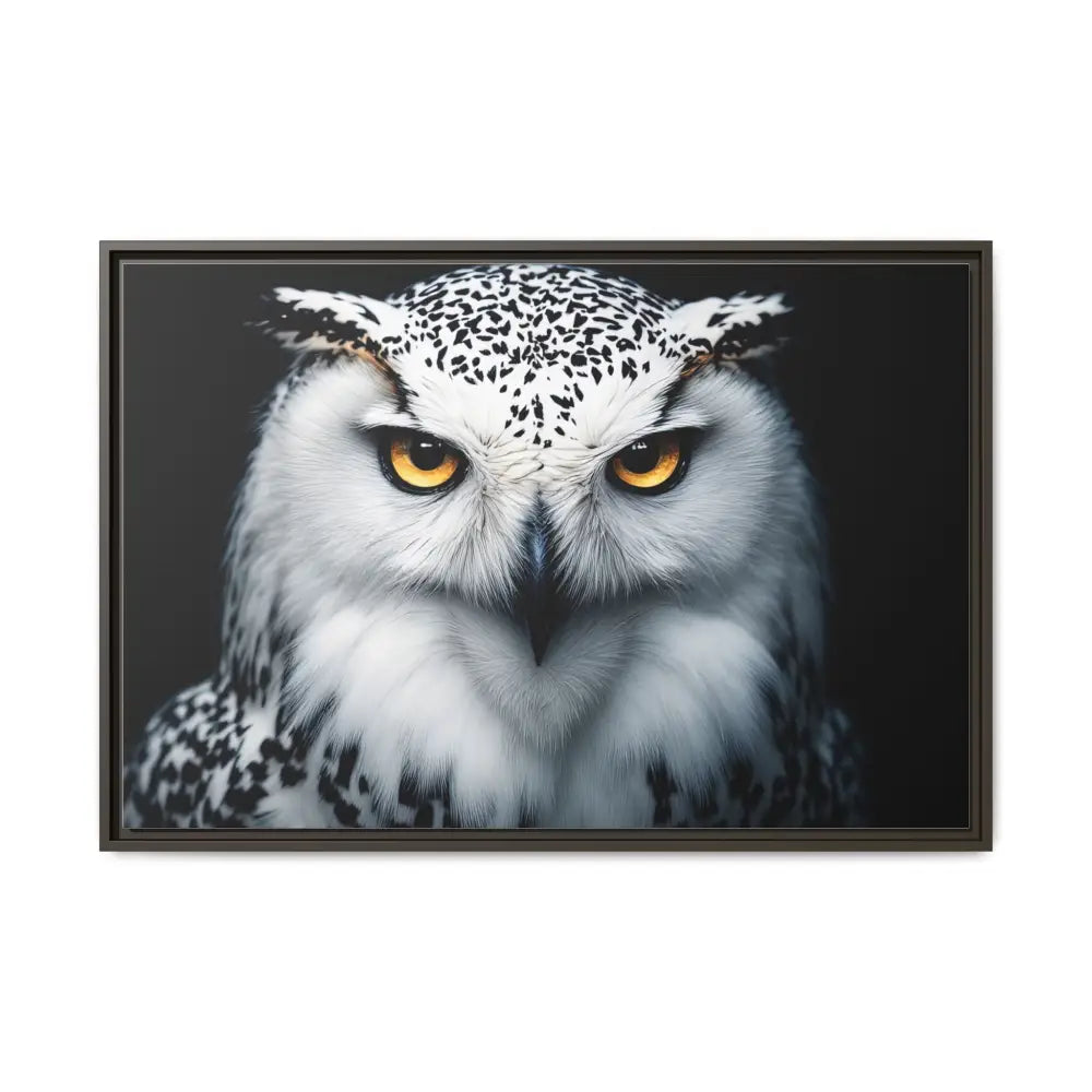 Sacred Snow Owl Framed Canvas - Double R Western™ - 36’’ x 24’’ (Horizontal) / Espresso / 1.25’’ - Canvas