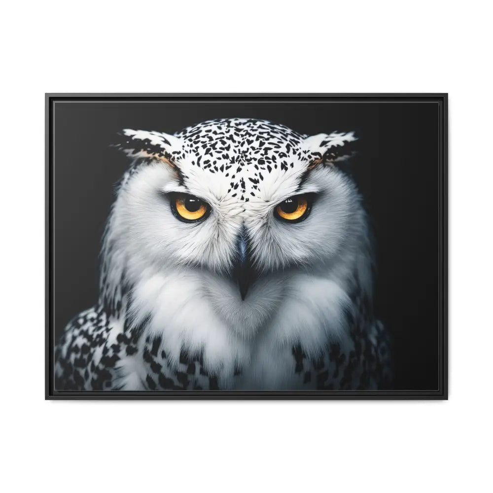 Sacred Snow Owl Framed Canvas - Double R Western™ - 40’’ x 30’’ (Horizontal) / Black / 1.25’’ - Canvas