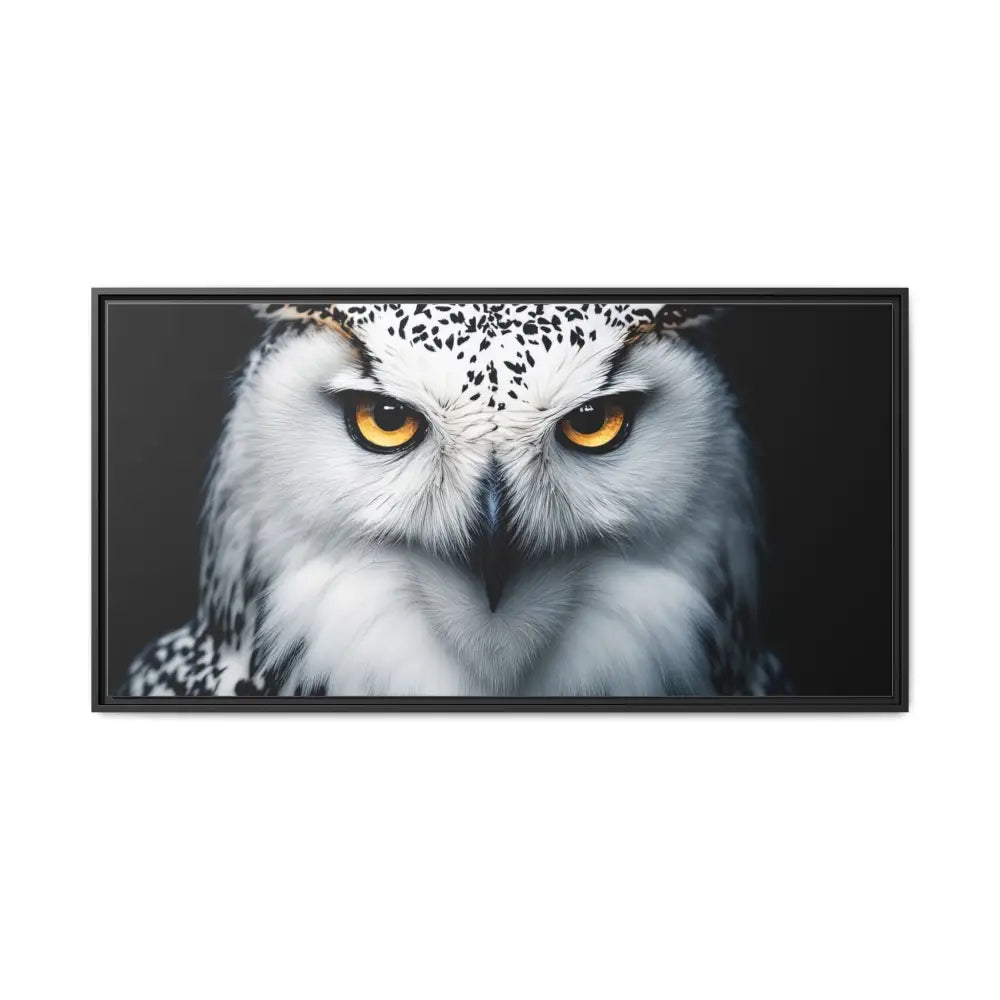 Sacred Snow Owl Framed Canvas - Double R Western™ - 48″ x 24″ (Horizontal) / Black / 1.25’’ - Canvas