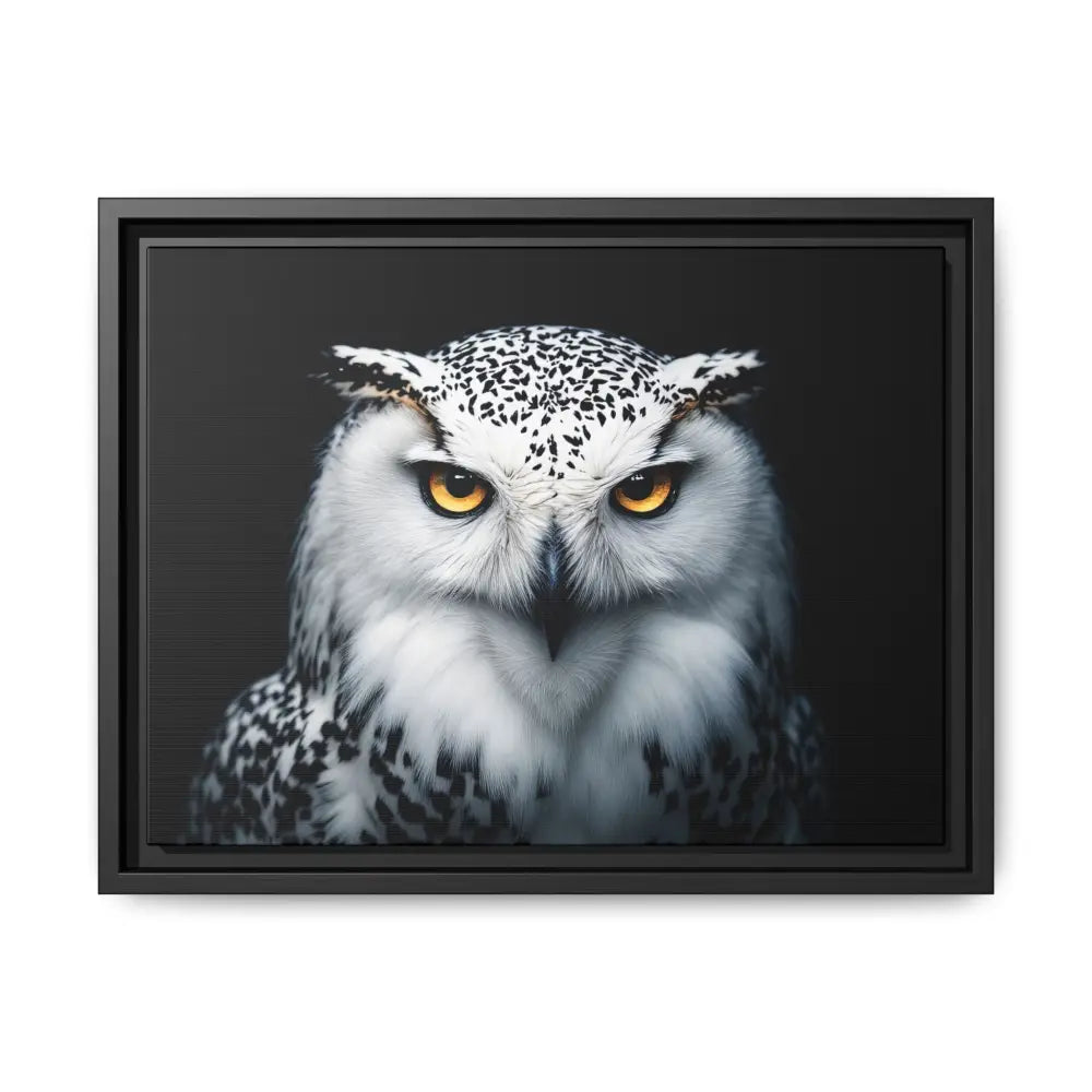 Snow Owl Midnight Edition Framed Art Canvas Wrap – Double R Western™ 16″ x 12″ (Horizontal) / Black / 1.25’’ Canvas