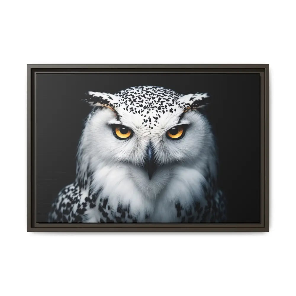 Snow Owl Midnight Edition Framed Art Canvas Wrap – Double R Western™ 24″ x 16″ (Horizontal) / Espresso / 1.25’’ Canvas