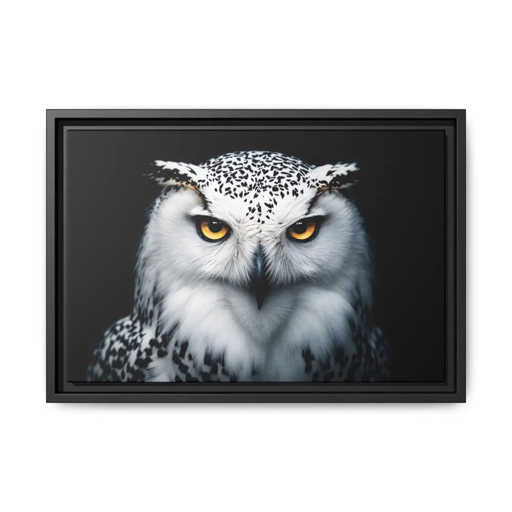 Snow Owl Midnight Edition Framed Art Canvas Wrap – Double R Western™ 18″ x 12″ (Horizontal) / Black / 1.25’’ Canvas