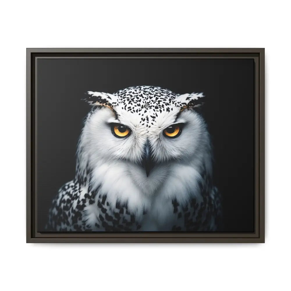 Snow Owl Midnight Edition Framed Art Canvas Wrap – Double R Western™ 20″ x 16″ (Horizontal) / Espresso / 1.25’’ Canvas