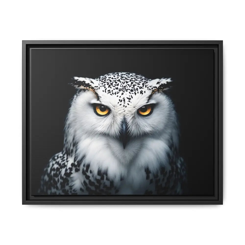 Snow Owl Midnight Edition Framed Art Canvas Wrap – Double R Western™ 20″ x 16″ (Horizontal) / Black / 1.25’’ Canvas