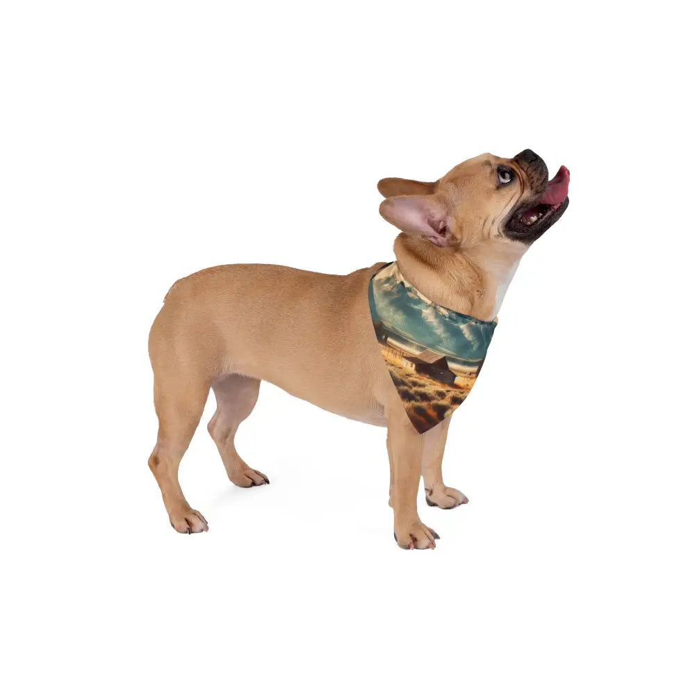 ’’Teton Valley’ ’ Double R Western’s Western Adventure Pet Bandana Pets