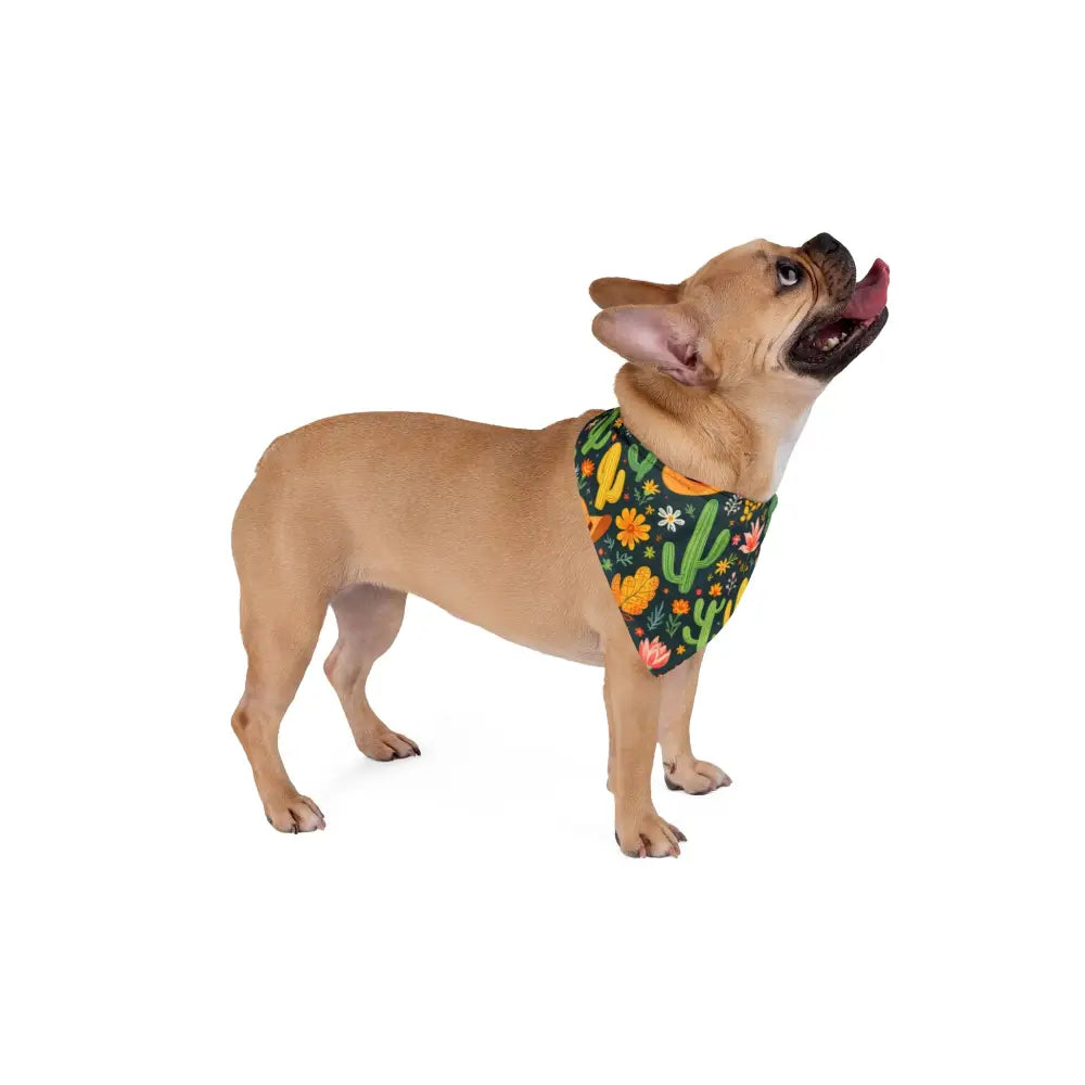 ’Vibrant Western Adventure’ - Double R Western’s - Western Adventure Pet Bandana - Pets