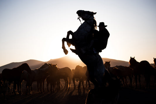 What Makes a Cowboy?