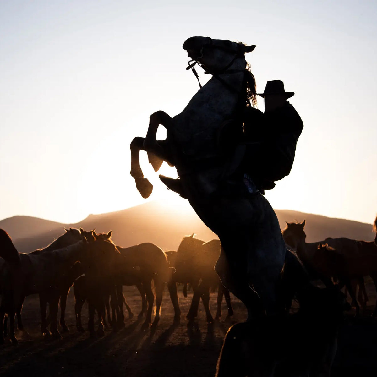 What Makes a Cowboy? Exploring Western Heritage and Values – Double R ...