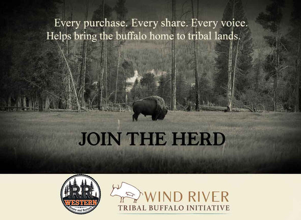 Lone bison in Yellowstone steam representing Double R Western’s mission to support the Wind River Tribal Buffalo Initiative and restore heritage.