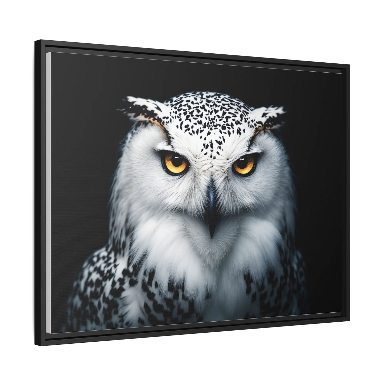 Framed owl portrait.
