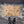 Howdy - Western Doormat