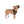Dog wearing navy triangular pet bandana with cactus and star prints