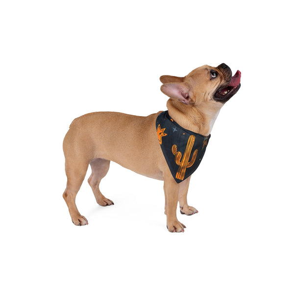 Dog wearing navy triangular pet bandana with cactus and star prints
