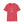 Spirit Line “Roam Free” White Bison Tee – Western Wear TShirt - Hot Off The Trail