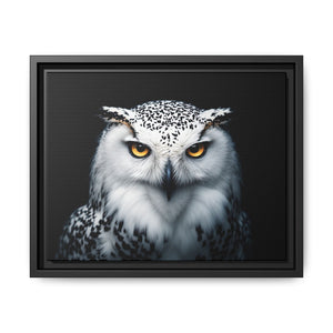 Framed owl canvas with white and gray feathers, yellow eyes; black border frame