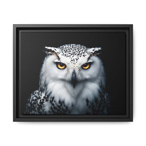 Framed owl canvas with white and gray feathers, yellow eyes; black border frame