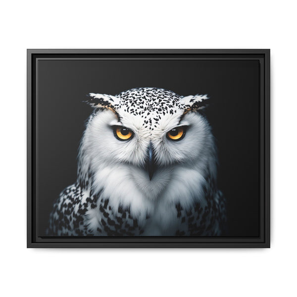 Framed owl canvas featuring yellow eyes and white-and-gray plumage; black frame