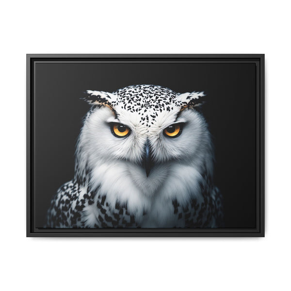 Framed owl canvas with bright yellow eyes and spotted white head; black border frame