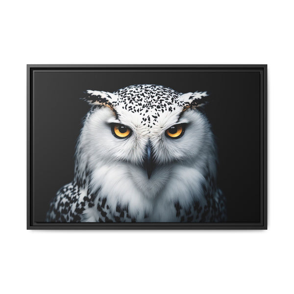 Framed owl wall art with white and gray feathers and yellow eyes; black border frame