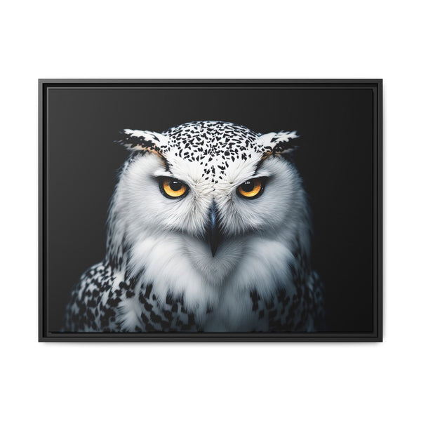 Framed owl canvas showing yellow eyes and white-gray plumage; black border frame