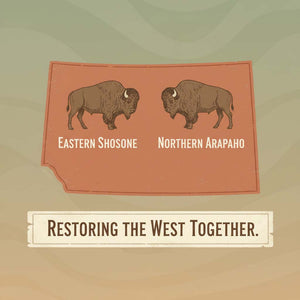 “Infographic showing the Wind River Reservation with two buffalo icons labeled Eastern Shoshone and Northern Arapaho, earth-tone background, and banner reading ‘Restoring the West Together.’”