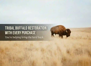 Bison standing in an open field representing Double R Western’s tribal buffalo restoration mission