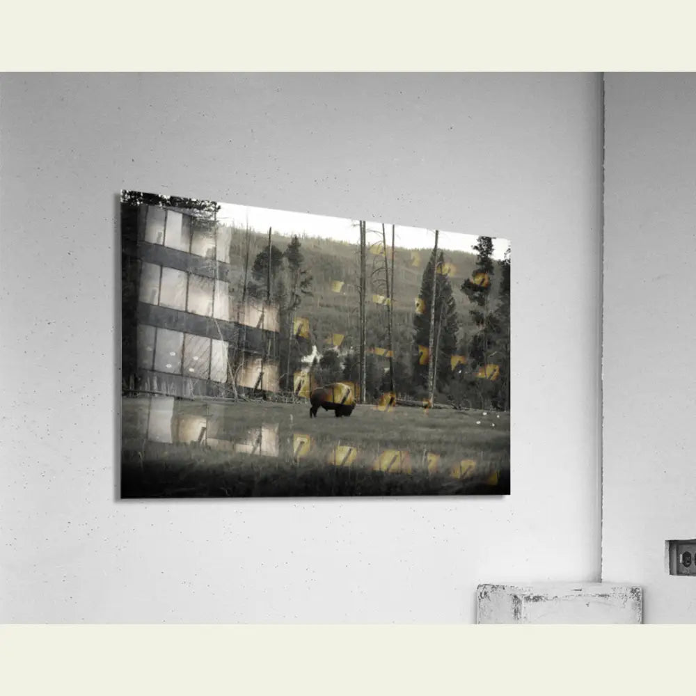 2304588 :: Acrylic Print