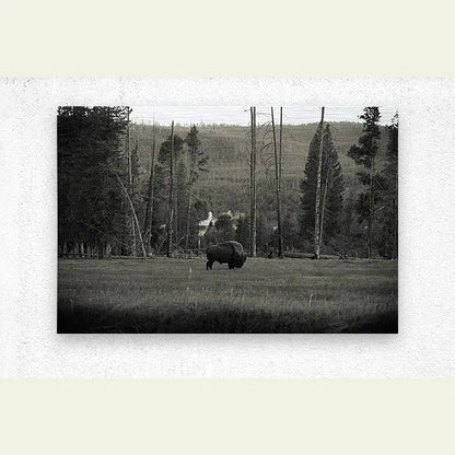 2304588 :: Brushed Metal Print