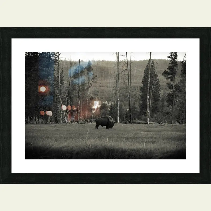 2304588 :: Framed Print