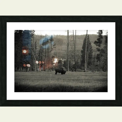 2304588 :: Framed Print