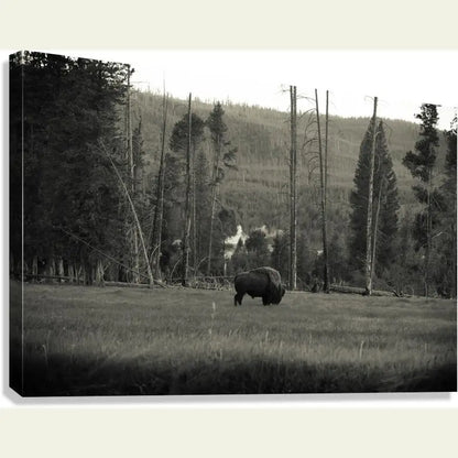 2304588 :: Giclée Stretched Canvas Print