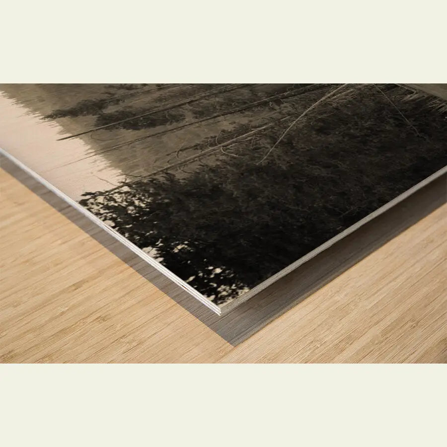 2304588 :: Wood Print