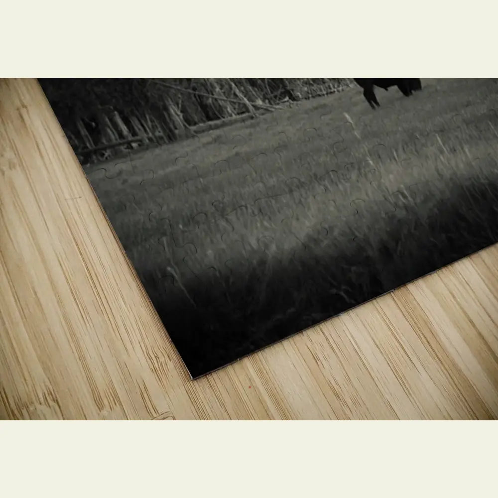 2304588 :: Puzzle Print