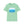 ’Chase the Horizon Find Your Freedom’ Double R Western’s™ Softstyle T Shirt S / Mint Green T Shirt