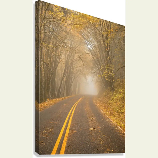 2304627 :: Giclée Stretched Canvas Print