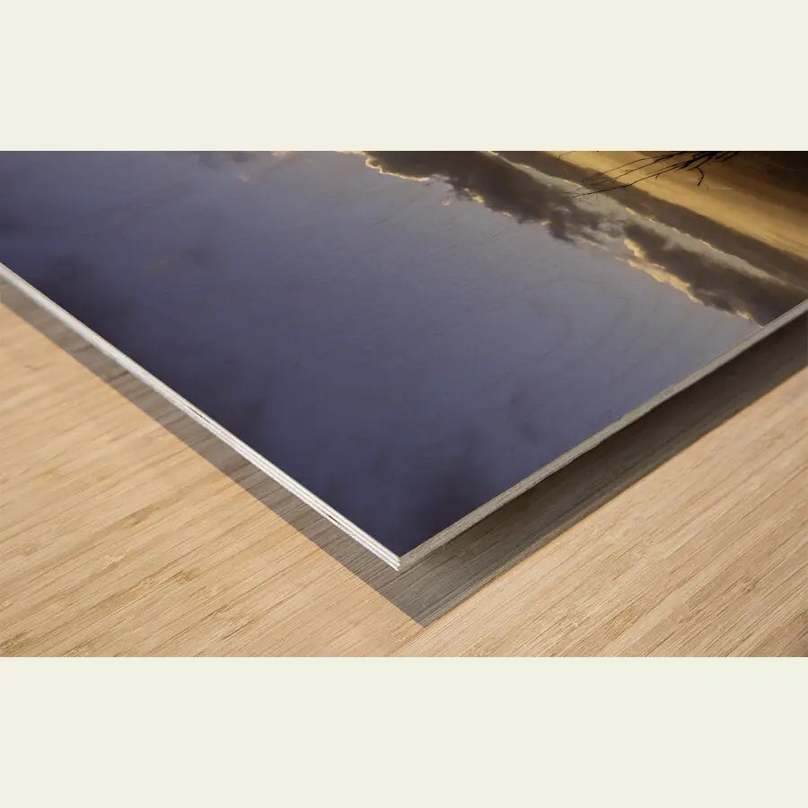 2304597 :: Wood Print