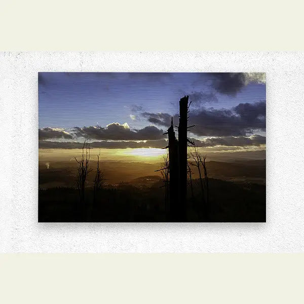 2304597 :: Brushed Metal Print